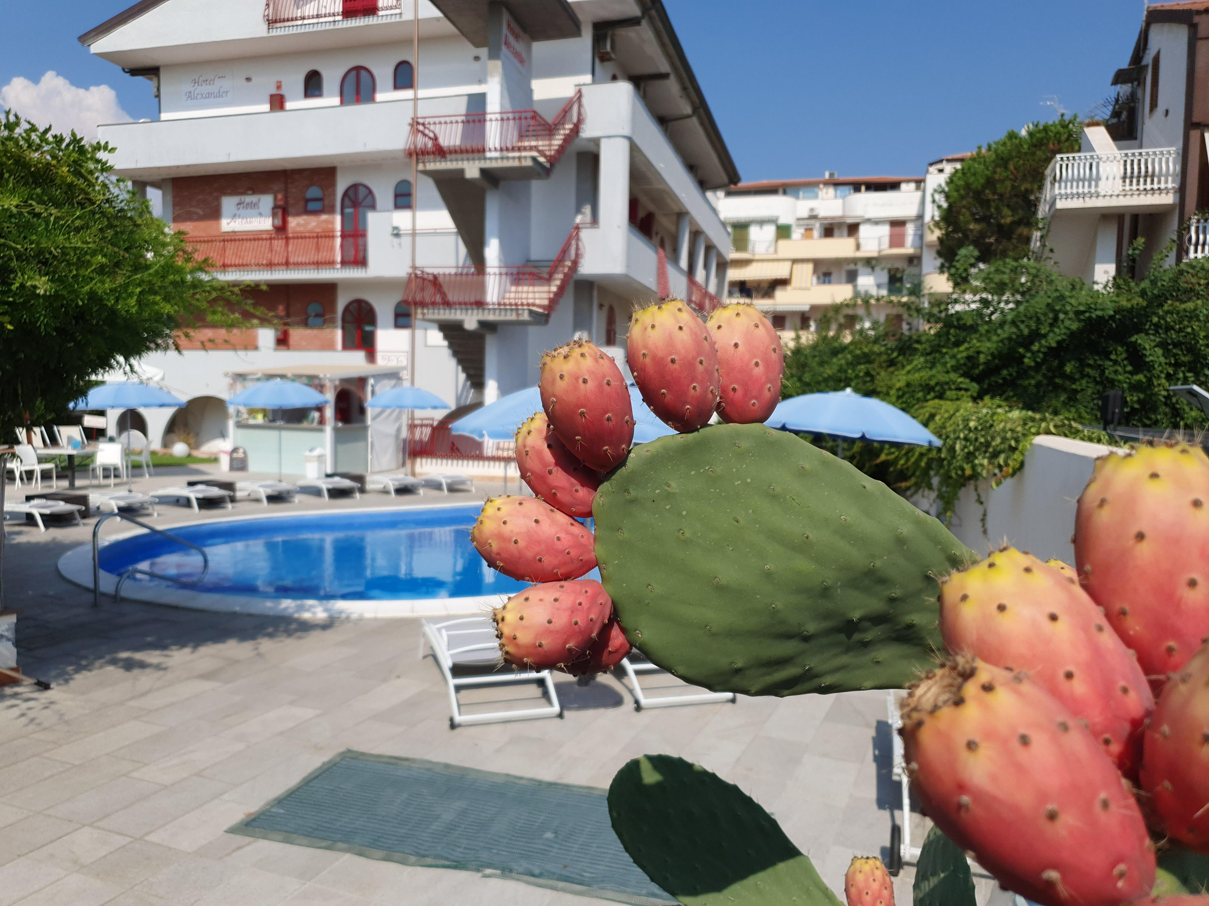 Hotel Alexander Giardini-Naxos Buitenkant foto